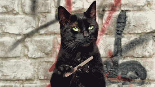 tumblr_mjmufo5Nil1r4g1p5o1_500.gif