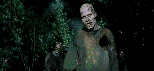 tumblr_nk7ke0WBVq1tv5ikso2_500.gif
