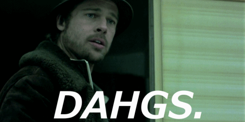 tumblr_liua3dzDCh1qb13hjo1_500.gif