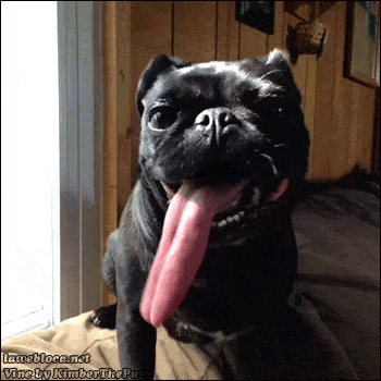 tumblr_n5njt0cNFS1s02vreo1_400.gif