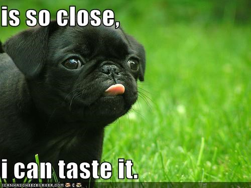 soclose.jpg