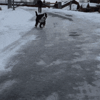 200w_d.gif