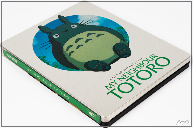 totoro1.jpg