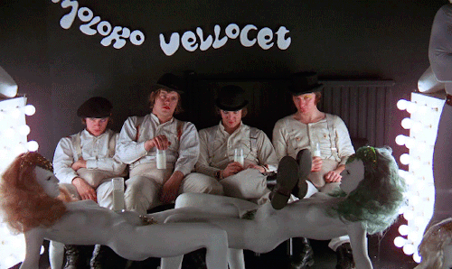tumblr_o94nd8AAXi1u17vtqo1_500.gif