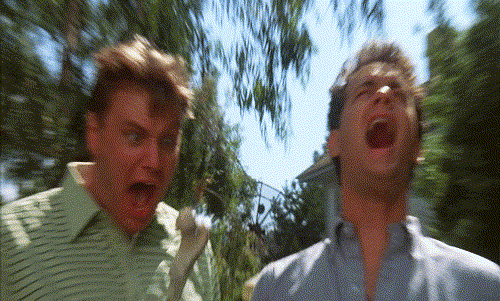 pvb8.gif