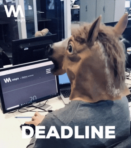 giphy.gif