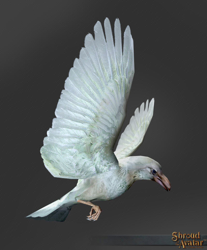SotA_White_Raven_Pet_a1.jpg
