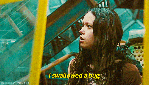 1bsW.gif