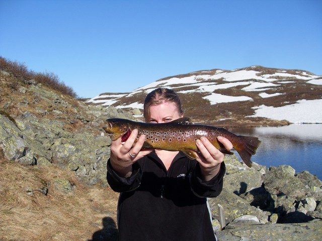 059066.jpg