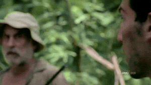 c8GPbw6KfSSd2.gif