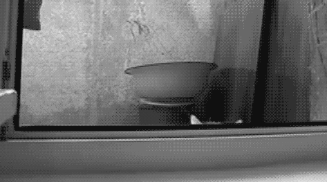 tumblr_mp3e8198B91sxicebo1_500.gif