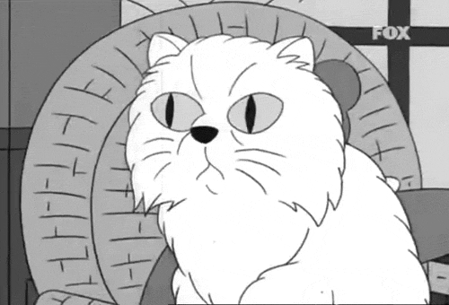RGtaPMh.gif