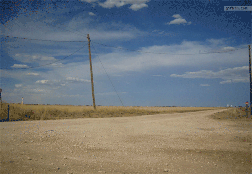 tumblr_inline_ok287deJzt1ri7rns_500.gif