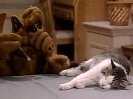 tumblr_mnhmcaUxxT1r2k7i3o1_500.gif