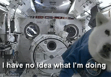xDQ3Oql1BN54c.gif