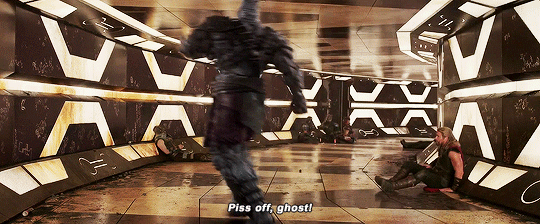 zf_Pbv_Gf.gif