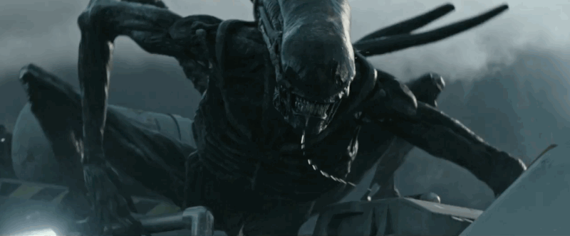 gypy0orei6utlaz5eoez.gif