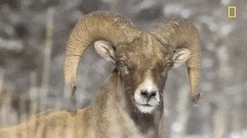 200.gif