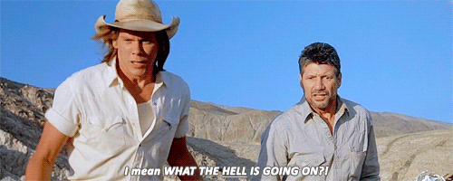 tumblr_ogdbp08QDS1un7uhro2_500.gif
