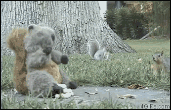 jI0RK.gif