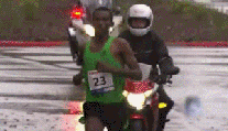 e84.gif