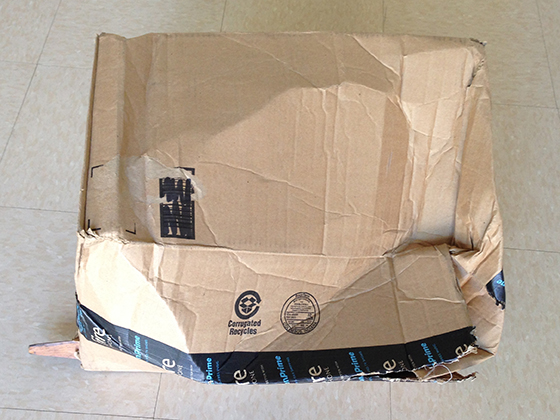 duck-box.jpg