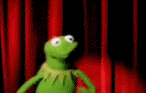 crazy-gif-kermit-the-frog-21358511-146-93.gif
