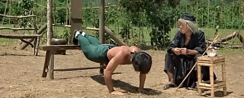 giphy.gif
