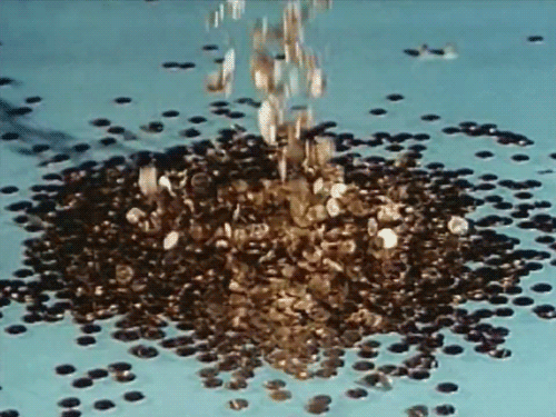tumblr_n4ysfjVuh81t3hbhyo1_500.gif