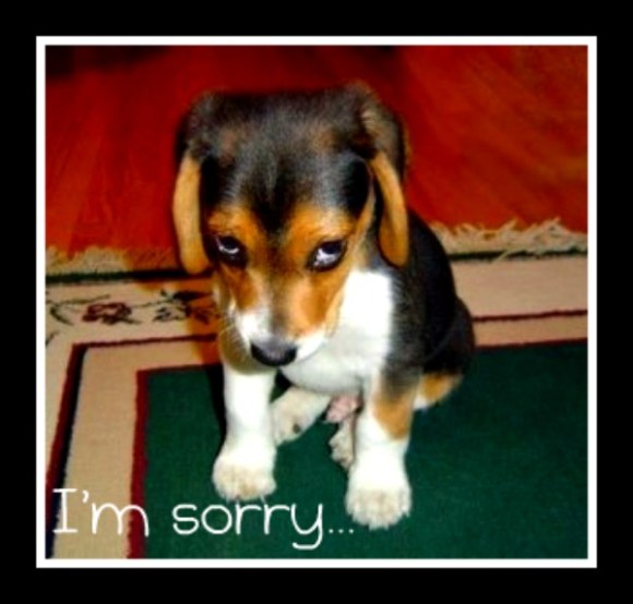 I%2Bam%2Bsorry.jpg