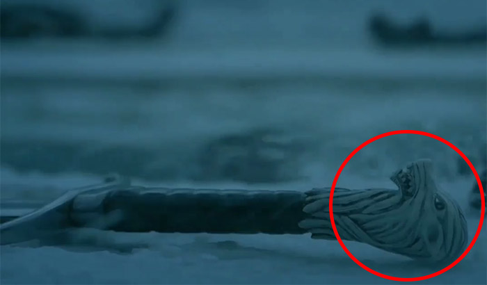 Longclaw-eye.jpg