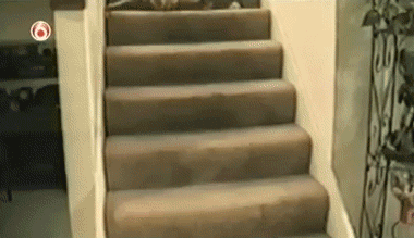 tumblr_mclb3k6QhD1qb5gkjo1_400.gif