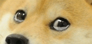 JEVqknUonZJWU.gif
