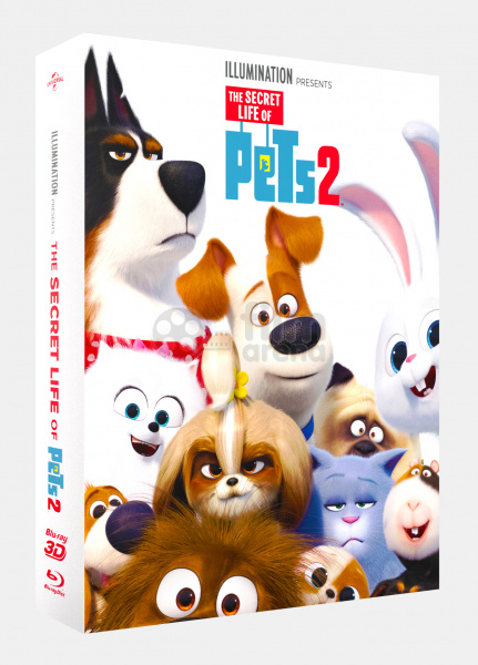www.filmarena-eng.com