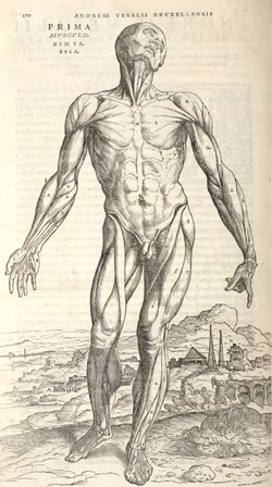 ai0129.jpg