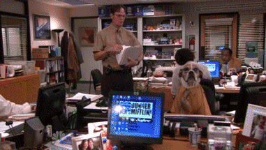 giphy-10.gif