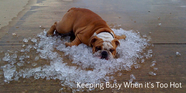 too-hot-outside.jpg