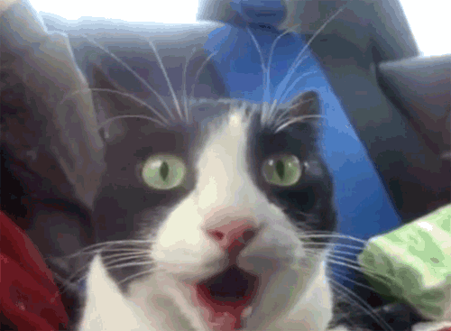tumblr_lvdy10xPLi1qzcv7no1_500.gif