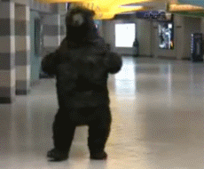 3oEjI7FMTdE7MvihHO.gif