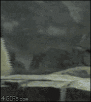 panda escape GIF