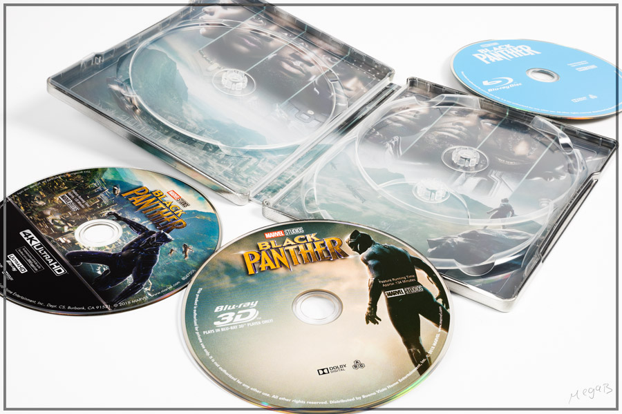 pantherkor6.jpg
