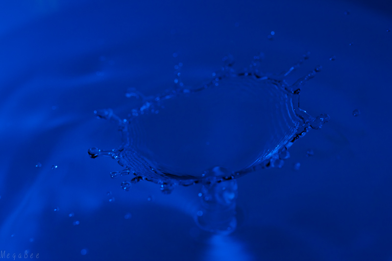 drop-7.jpg