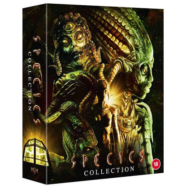 www.zavvi.com