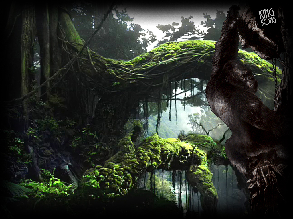 Amazon1024Kong2012.jpg