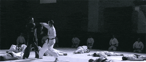 giphy.gif