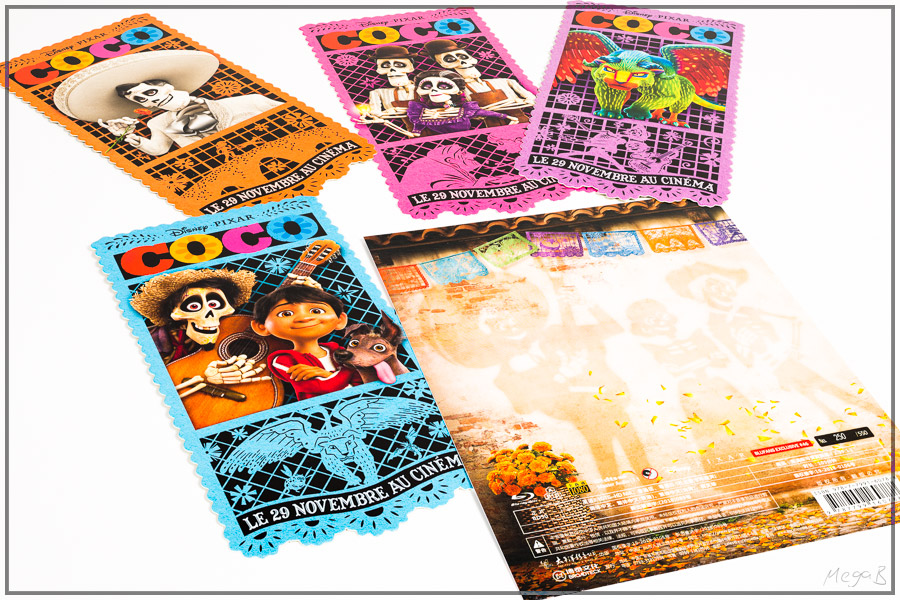 coco14.jpg