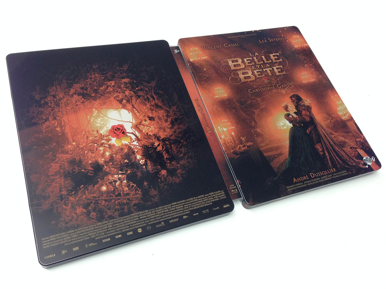 la-belle-et-la-bete-steelbook-6.jpg