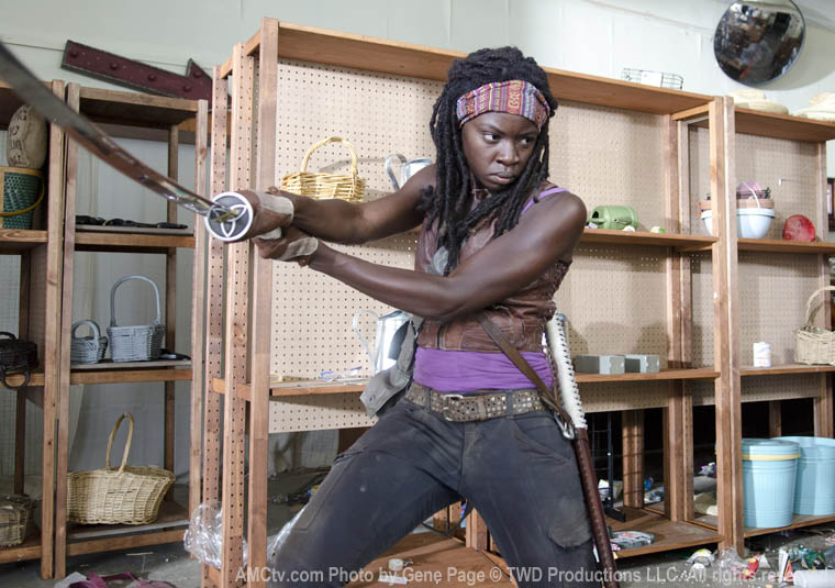 michonne-2-760.jpg
