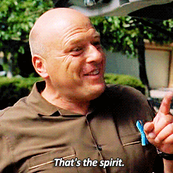 tumblr_n126z6agVB1qdk4doo4_250.gif
