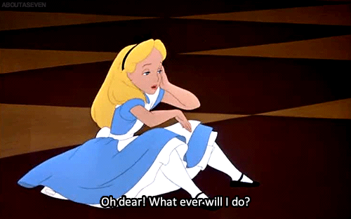 tumblr_m5u526eXYc1qhfc59o1_500.gif